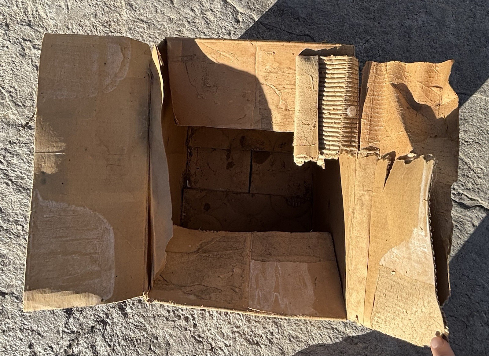 Vintage Solitaire Cardboard Box for Canned Spinach Morey Mercantile Denver CO