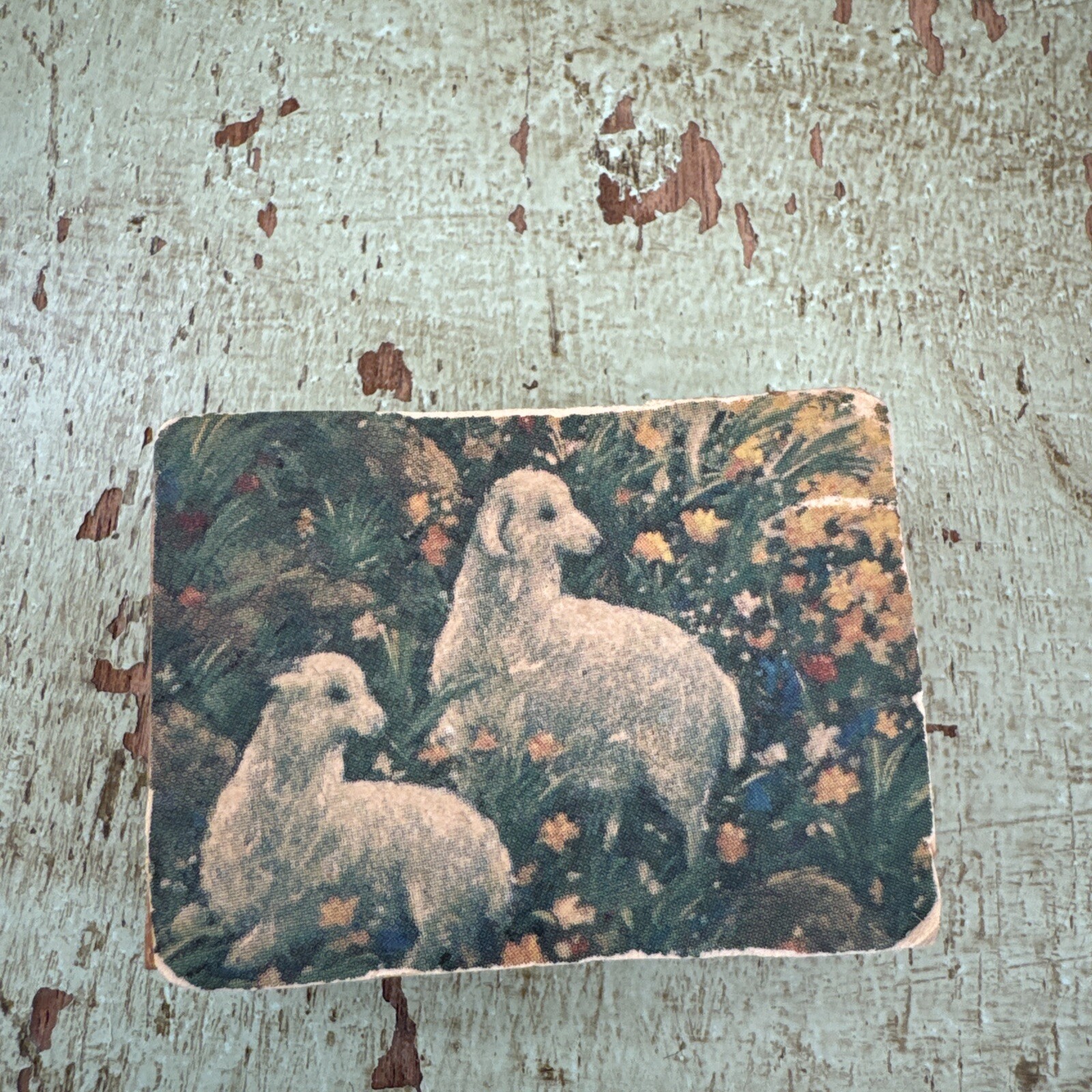 Vintage Lambs In A Flower Field Matches Cardboard Box “with Match Sticks”