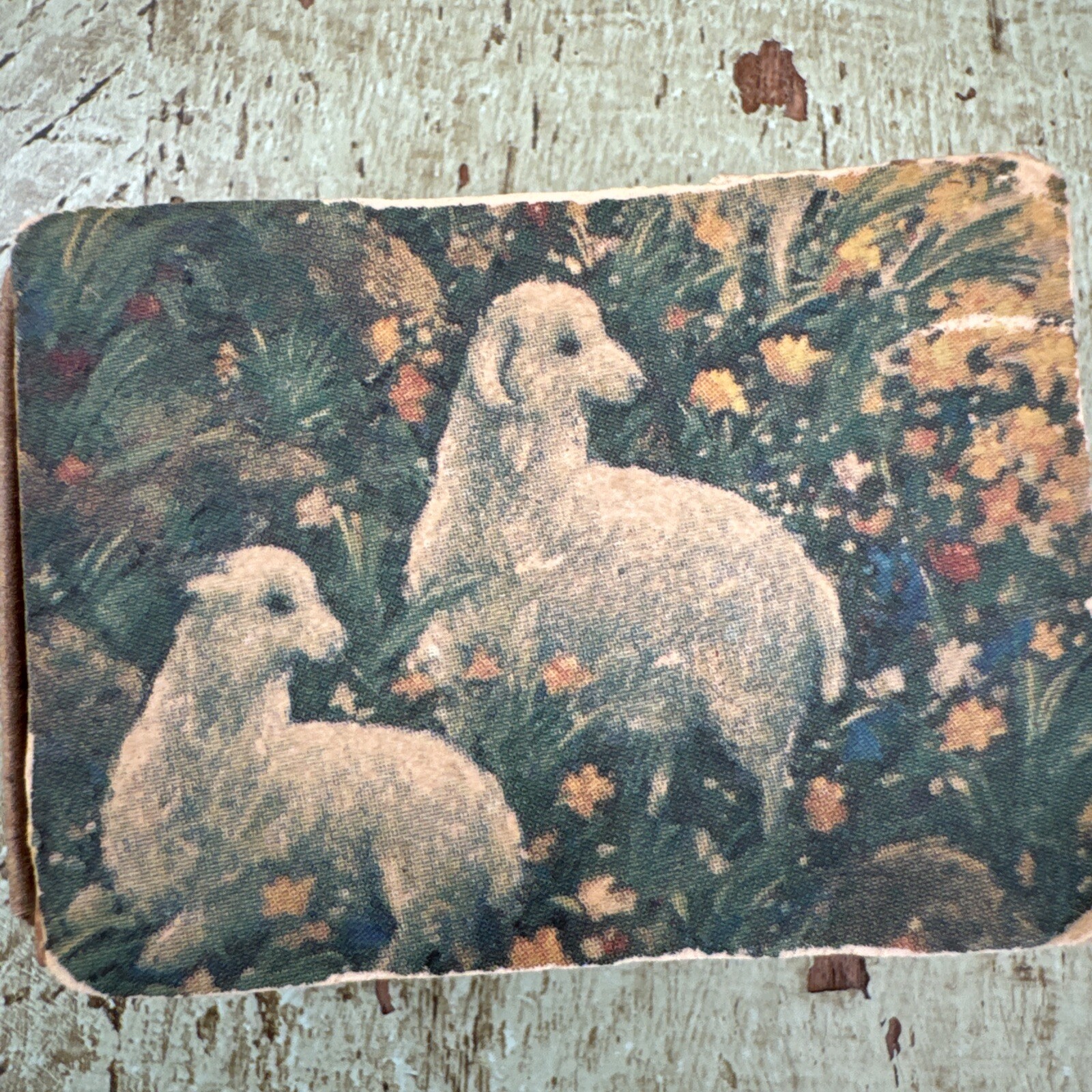 Vintage Lambs In A Flower Field Matches Cardboard Box “with Match Sticks”